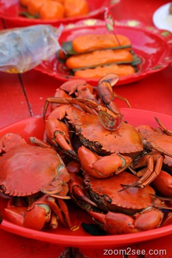 [IMG_5381_resize[1].jpg]