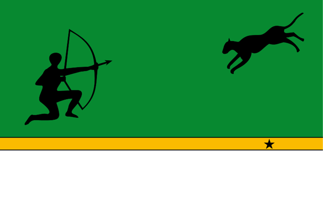 [800px-Flag_of_Amazonas_Department.svg[2].png]