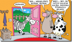 misafir_zebra