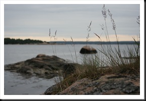 Canon EOS 350D IMG_2547