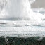DSC_0193.jpg