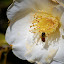 DSC_0106.JPG