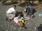  British Columbia, Vancouver Island, Broken Islands Slideshow