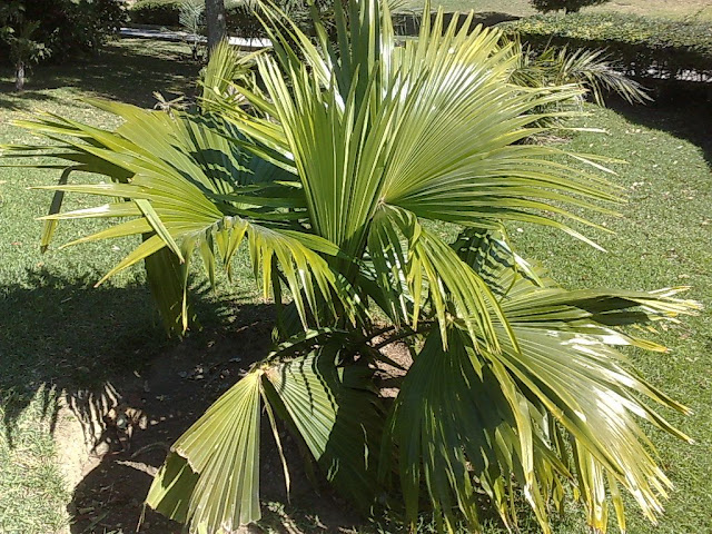 121120091281.jpg