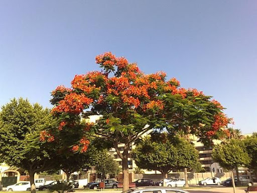 190720102429.jpg