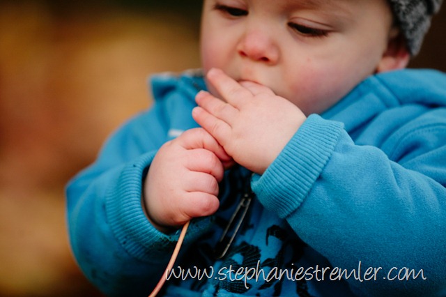 [LyndenFamilyPhotographer10-31-09Logan-109[2].jpg]