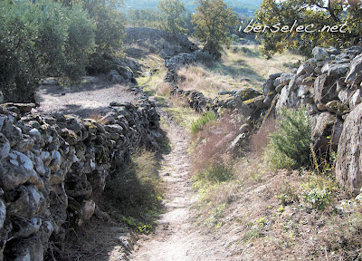 caminoaseptiembre.3I28Xf7SecDV.jpg