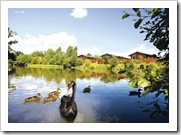 Stunning Waterside, Forest and Beachside Locations