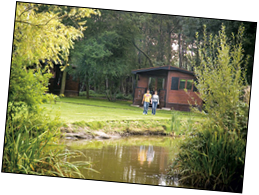Self Catering Log Cabin Holidays