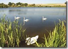 Beautiful and Stunning Countryside Locations