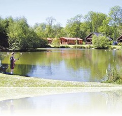 Log Cabins in South East England
