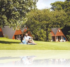 Log Cabin Holidays with Entertainment