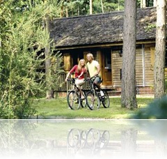 Log Cabins Vale of York