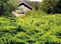 Forest Locations Across the UK