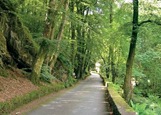 Stunning Countryside Locations