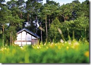 Keldy Forest Lodges