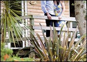 Stunning Log Cabins in North and South Cornwall