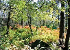Enjoy Exploring the Staffordshire Countryside