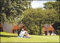 Stunning Log Cabin Park by the Coast