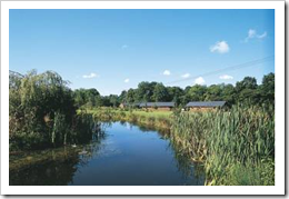 Relax and Enjoy the Peaceful and Tranquil Log Cabin Parks