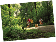 Enjoy Exploring the Stunning Surroundings