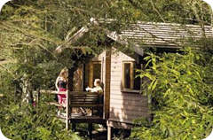 Holiday Park Breaks in Nottinghamshire Holiday Park Breaks in Nottinghamshire