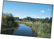 Stunning Countryside Locations for Romance