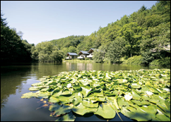 Luxury Self Catering Holidays in Cornwall