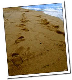 Footprints_In_The_Sand_by_madilar