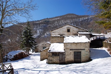 39-Versaia 39-Versaia