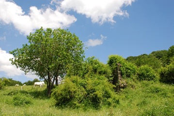 48-Ca'P.di Mezz. 48-Ca'P.di Mezz.