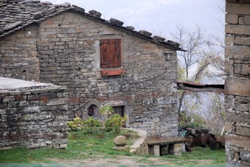 campo d'olivo campo d'olivo