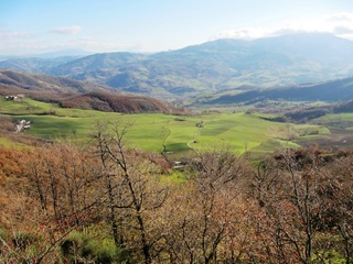 panorama panorama