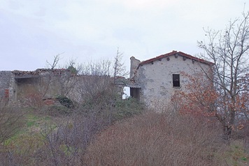 Ca' Castellina Ca' Castellina