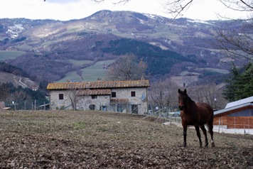 Poggiolina Poggiolina