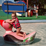 00000006-1.JPG
