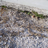 100_4106.JPG