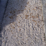 100_4112.JPG
