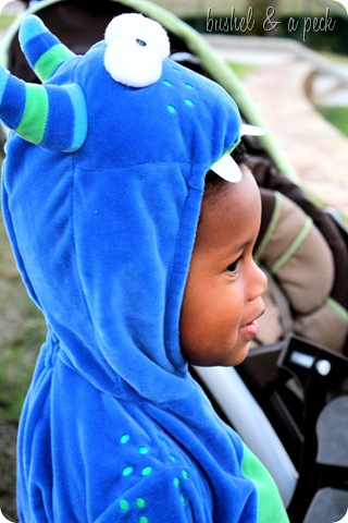 IMG_6447 IMG_6447