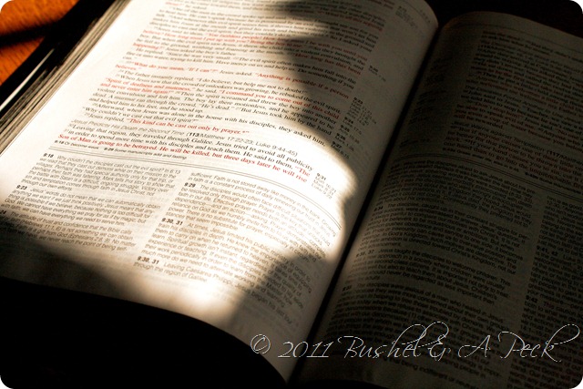 IMG_0939 IMG_0939