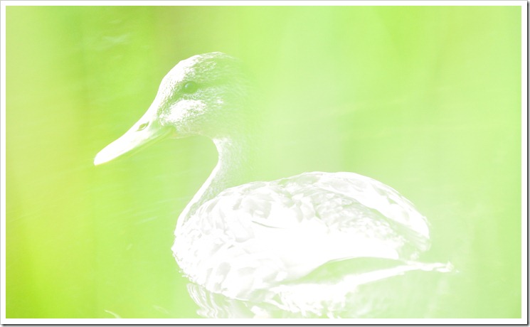DSC_0073_2 DSC_0073_2