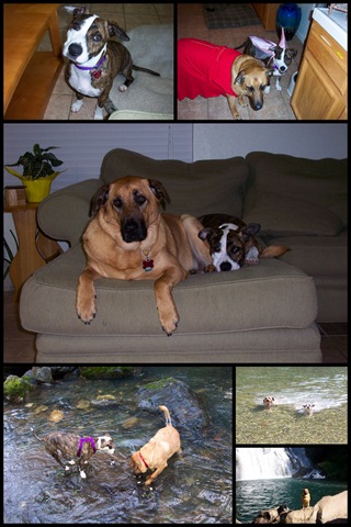 [frame photos[3].jpg]