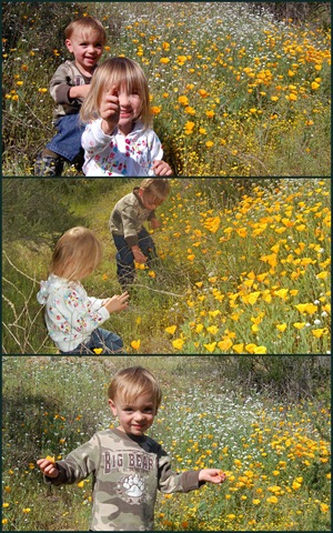 [Collages8[3].jpg]