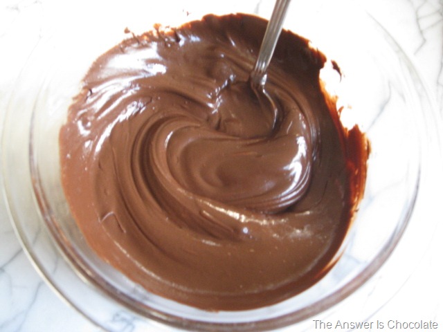 [Melted Chocolate[6].jpg]