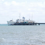 DSC_0239.JPG