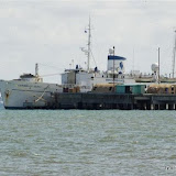 DSC_0245.JPG