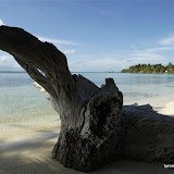 DSC_7706.JPG