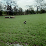 England (18).JPG
