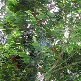DSCN3675.JPG