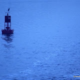 jax 11 06 027.jpg